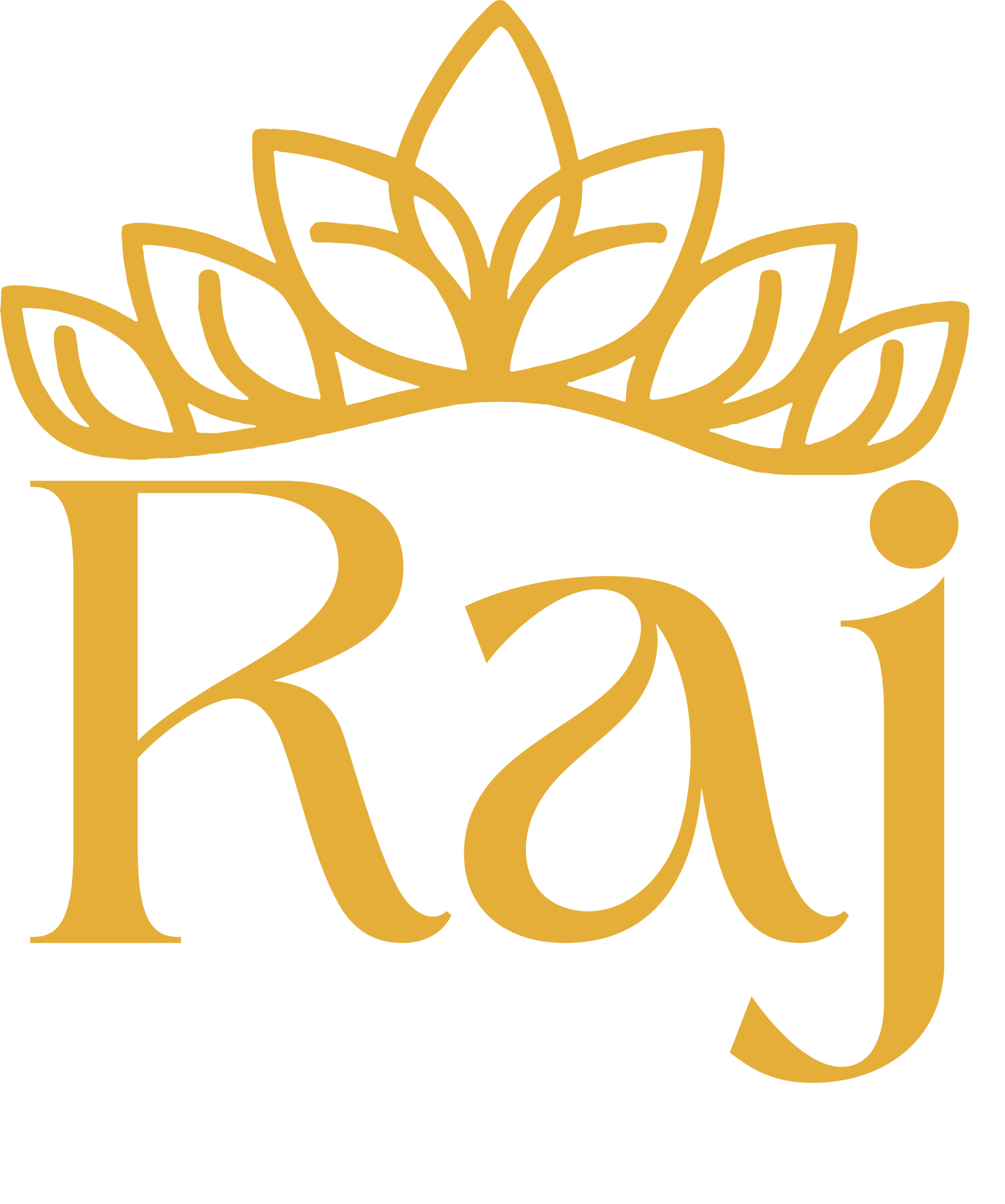 Raj Dry Fruit