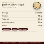 Jumbo Cashew (Kaju) – facts