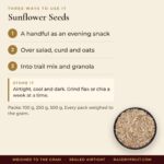Sunflower Seeds – uses