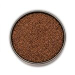 Aliv Seeds